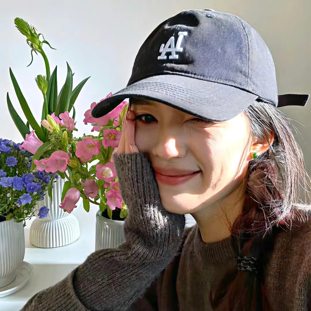 小老鼠历险记