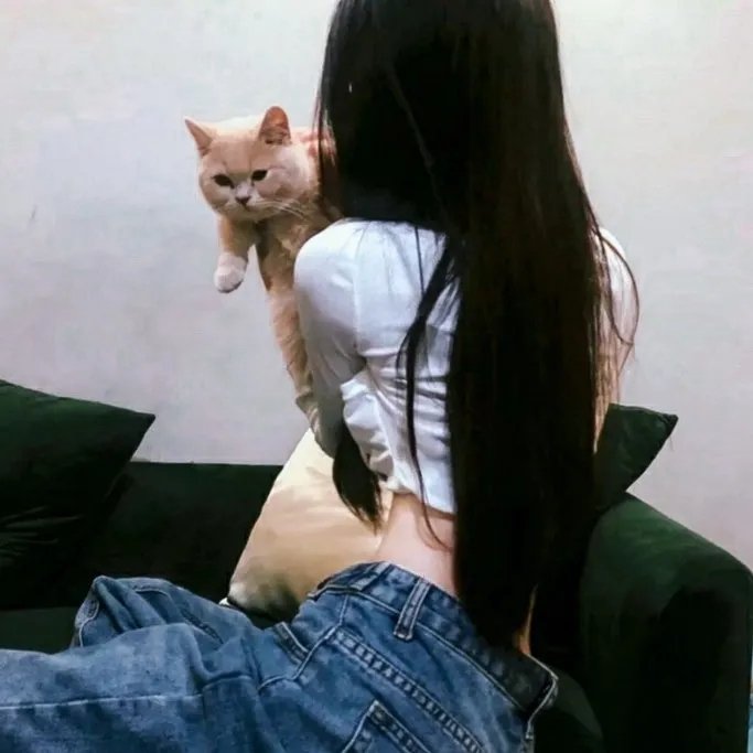 猫头鹰的哭泣